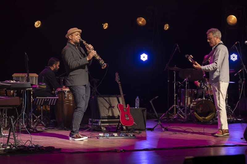 Após estreia esgotada, show de Luiz Meira em homenagem a Chico Buarque retorna ao CIC em setembro