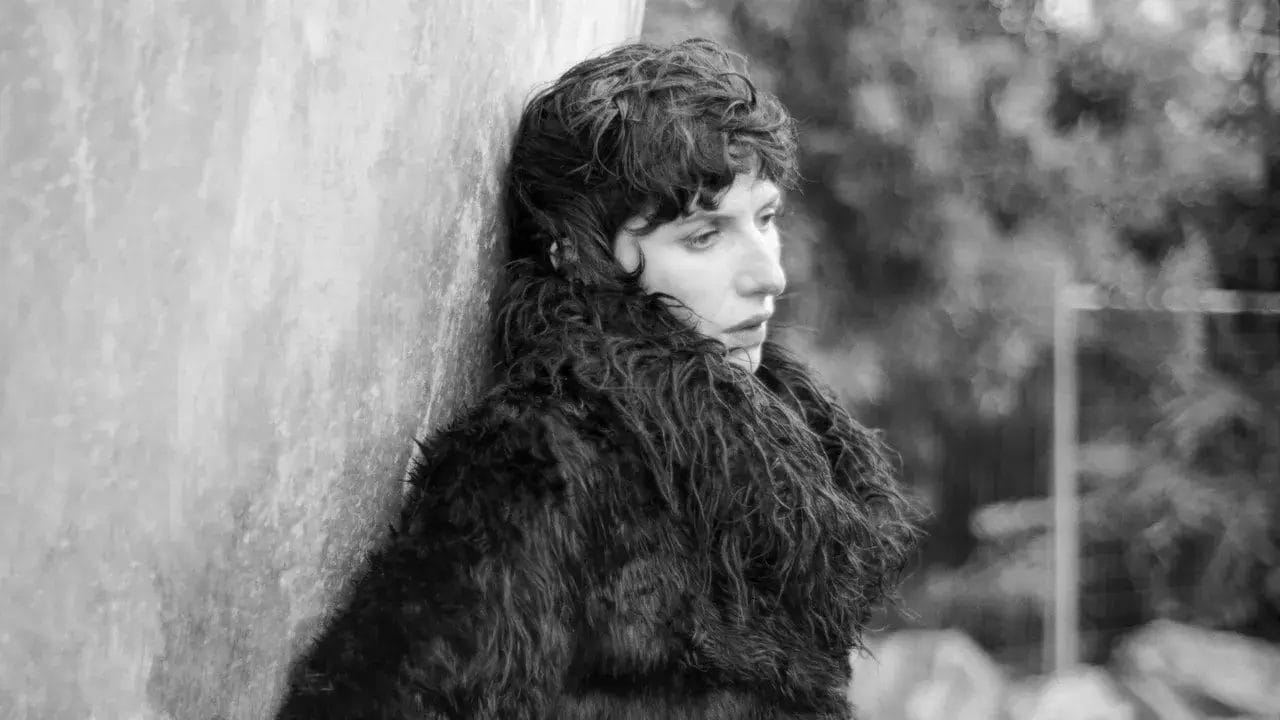 Aldous Harding compartilha nova música “Venus In The Zinnia”